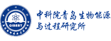 中科院青岛生物能源与过程研究所